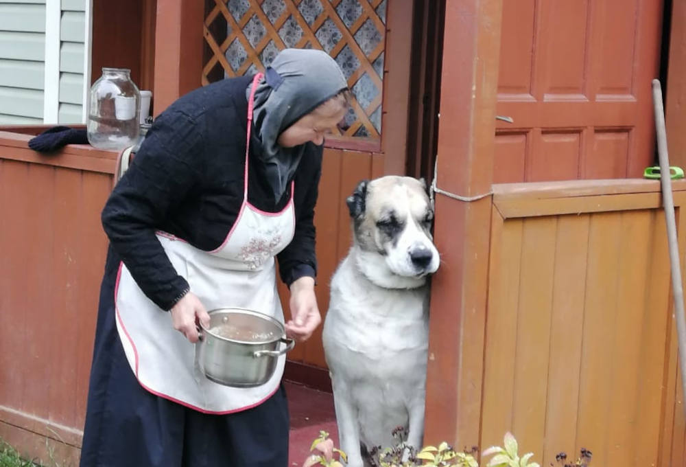 Заставка для - Петропавловский женский монастырь в Юрьеве-Польском